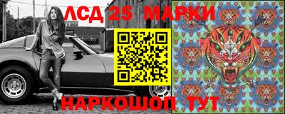 сатива Можга