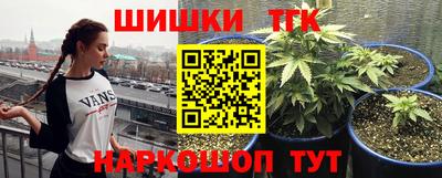 сатива Можга