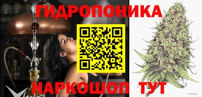 дживик Моздок