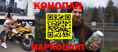 дживик Моздок