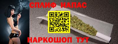 сатива Можга