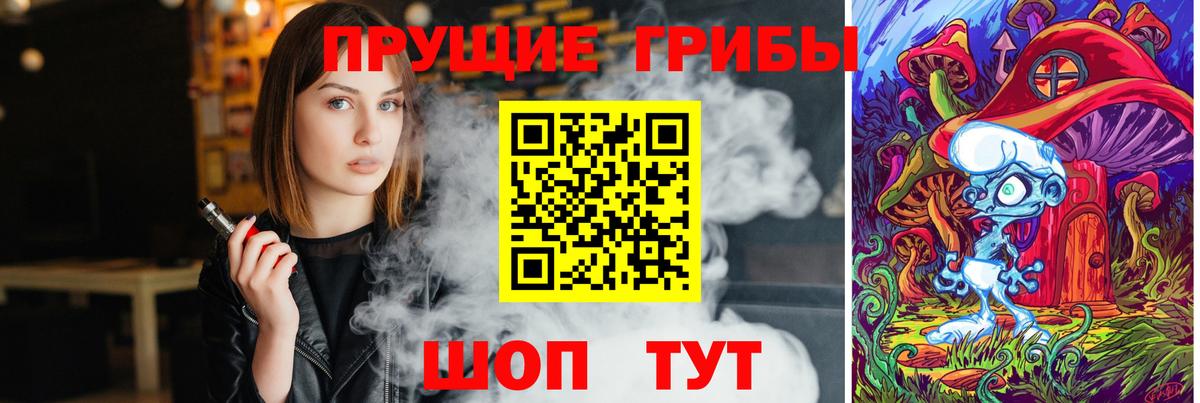 Псилоцибиновые грибы Psilocybe  Вход с VPN  Грозный 