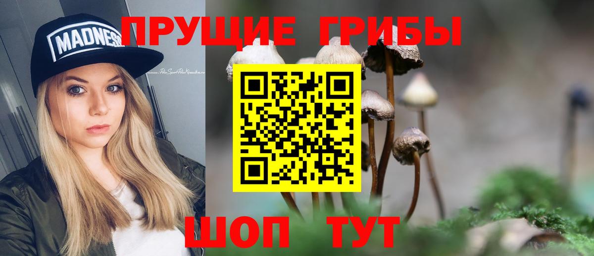 Псилоцибиновые грибы Psilocybine cubensis Грозный